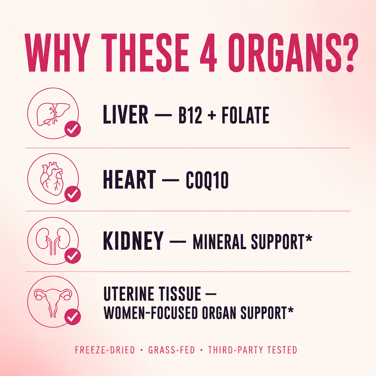 NELIVAL_BEEF_ORGANS_BELOW_OFFER_02 why these 4 organs mechanism