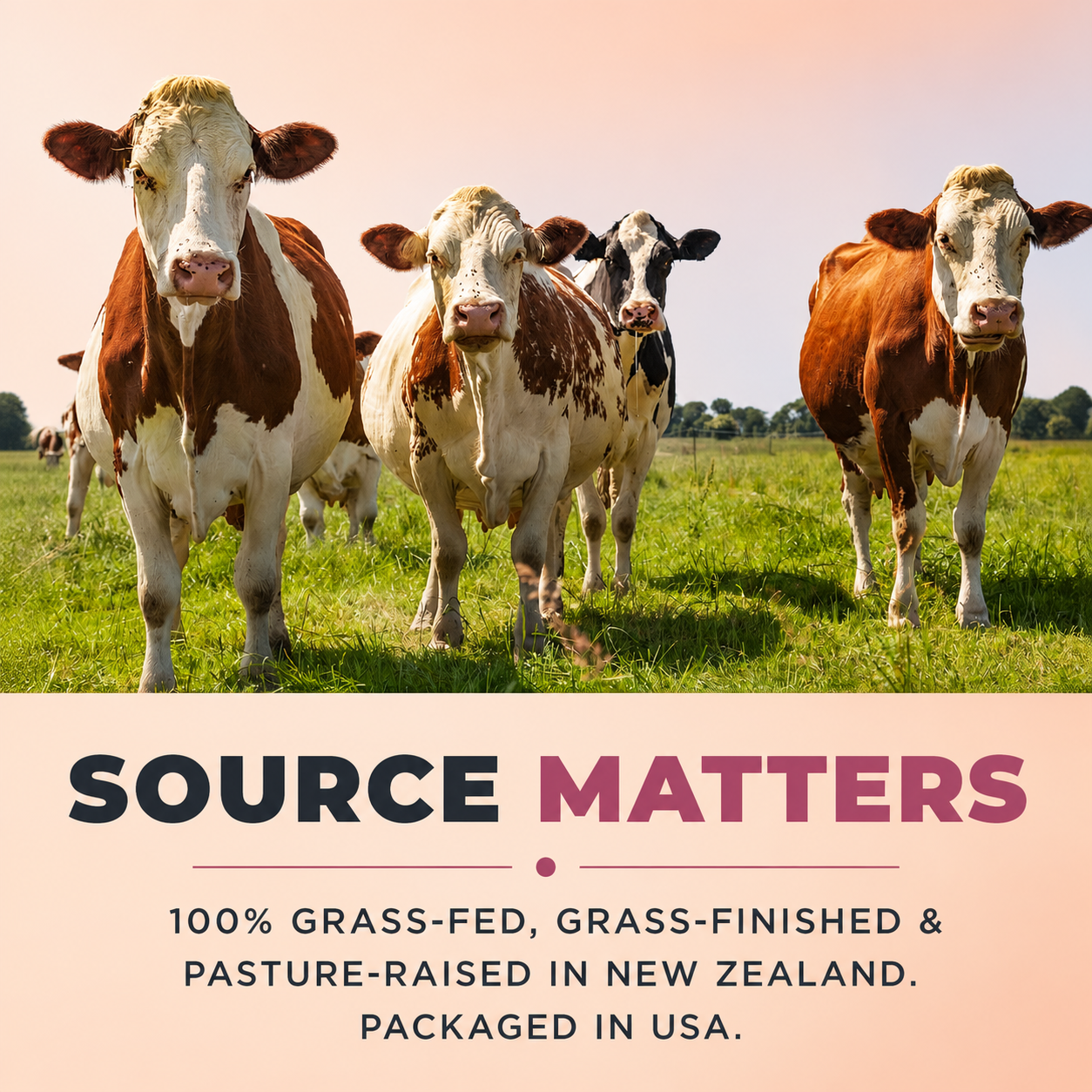 NELIVAL_BEEF_ORGANS_CAROUSEL_04 source matters grass fed New Zealand