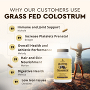 Nelival Grass Fed Beef Colostrum thumbnail