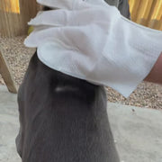 NELIVAL_PET_WIPES_VIDEO_02 Pet glove wipes carousel demonstration thumbnail