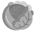 Lettuce icon