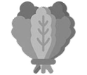 Spinach icon